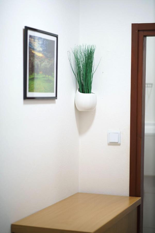 Apartment Bojic Водице Экстерьер фото