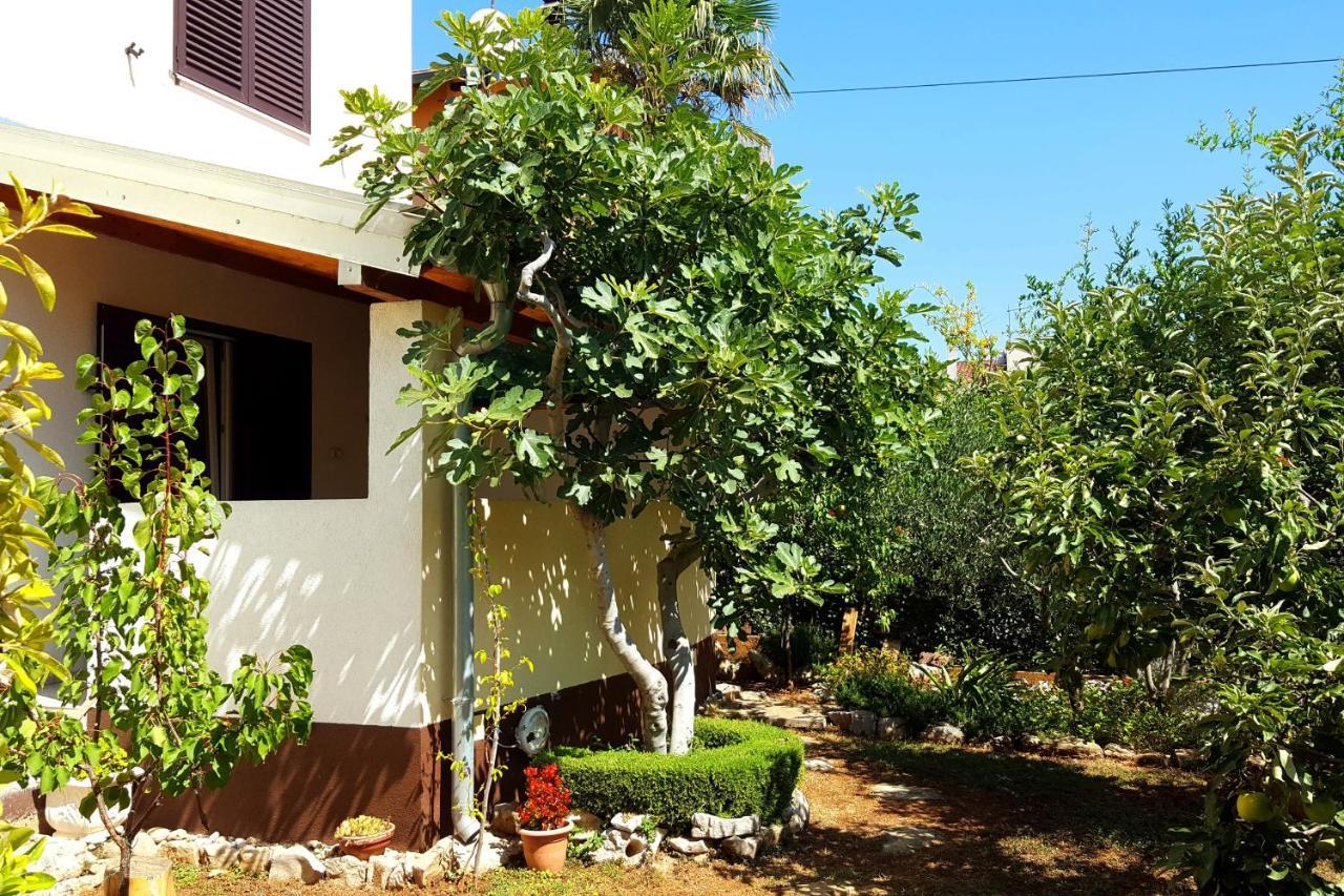 Apartment Bojic Водице Экстерьер фото